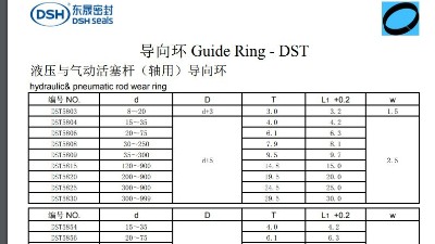液壓與氣動活塞桿（軸用）導向環(huán)