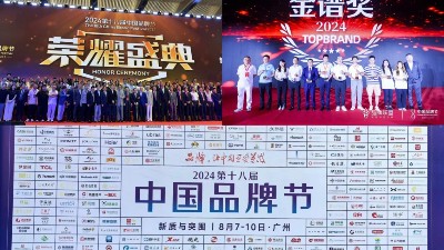 東晟密封件閃耀2024第十八屆中國品牌節(jié)，榮獲密封技術(shù)“金譜獎”
