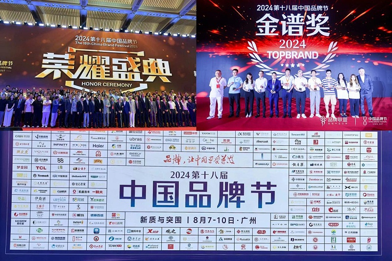 1東晟密封件閃耀2024第十八屆中國(guó)品牌節(jié)，榮獲密封技術(shù)“金譜獎(jiǎng)”