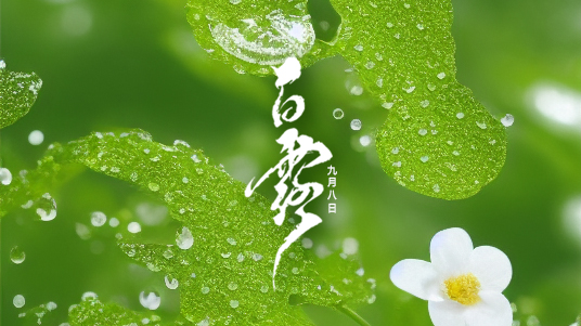 迎接<i style='color:red'>白露</i>：秋季的第一抹清涼！