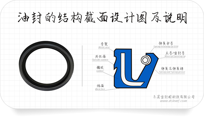 油封的外緣部4種泄漏方式及9條原因分析匯報！油封的唇口10種泄漏原因及26條分析結(jié)果表！