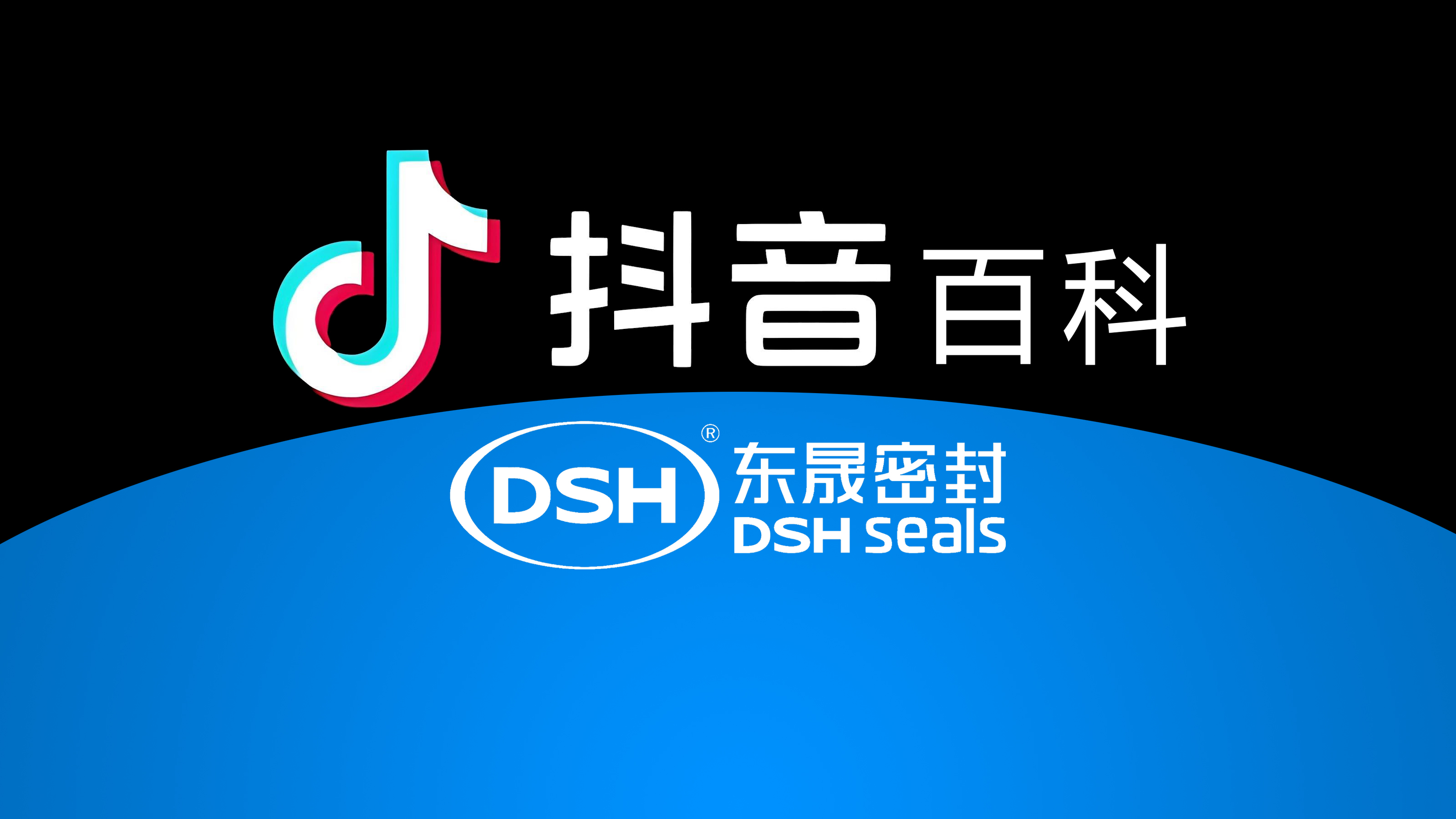 權威解讀，東晟密封件<i style='color:red'>官方百科</i>閃耀抖音！