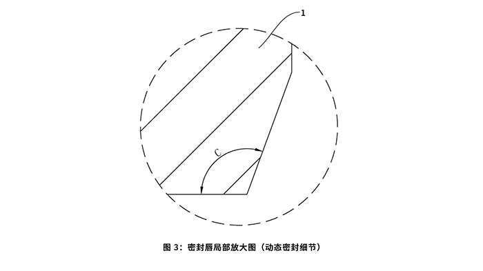 一種油封及其加工治具：圖 3：密封唇局部放大圖（動態(tài)密封細(xì)節(jié)）