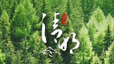 <i style='color:red'>清明</i>節(jié)：又是一年<i style='color:red'>清明</i>時(shí)！