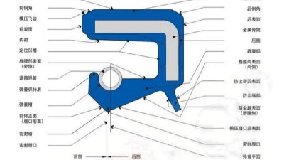 一個內(nèi)包<i style='color:red'>骨架密封圈</i>每個部位的名稱術(shù)語大全！！